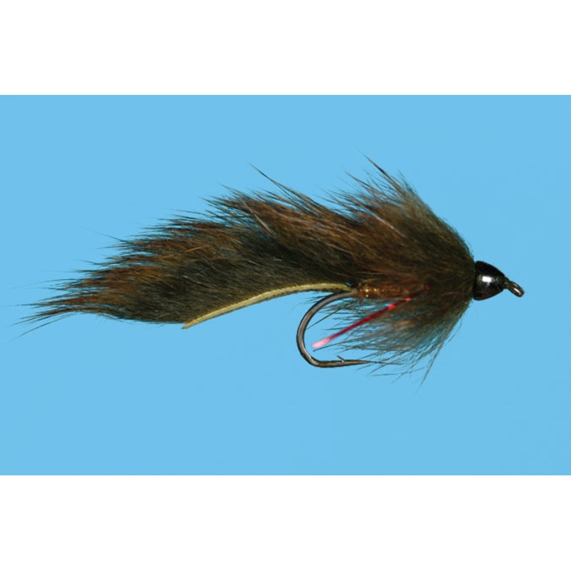 Wounded Sculpin
