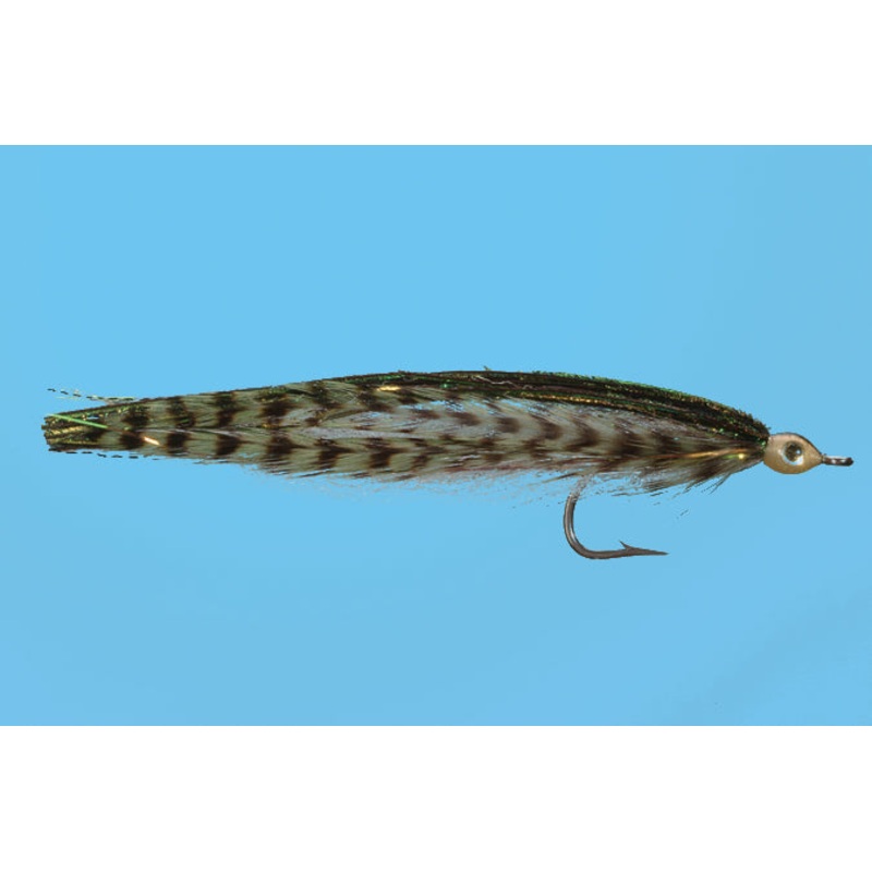 Anchovy