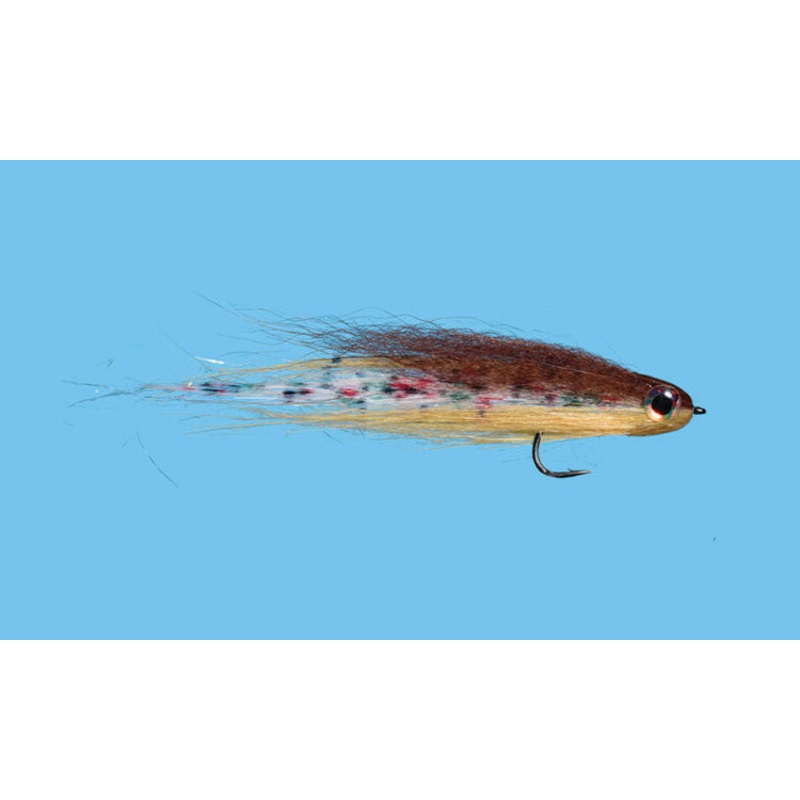 Baby Trout