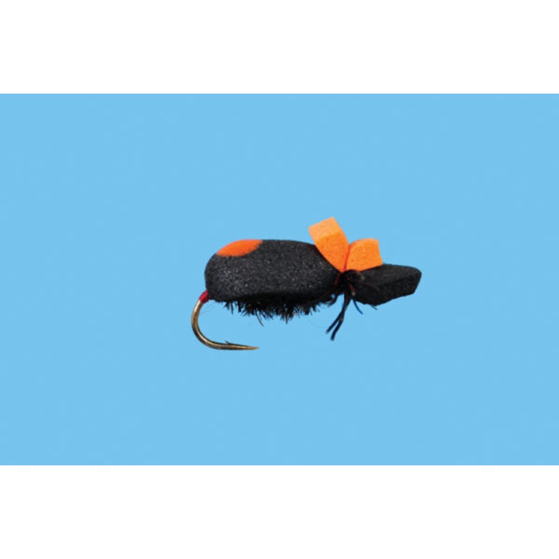 Beetle