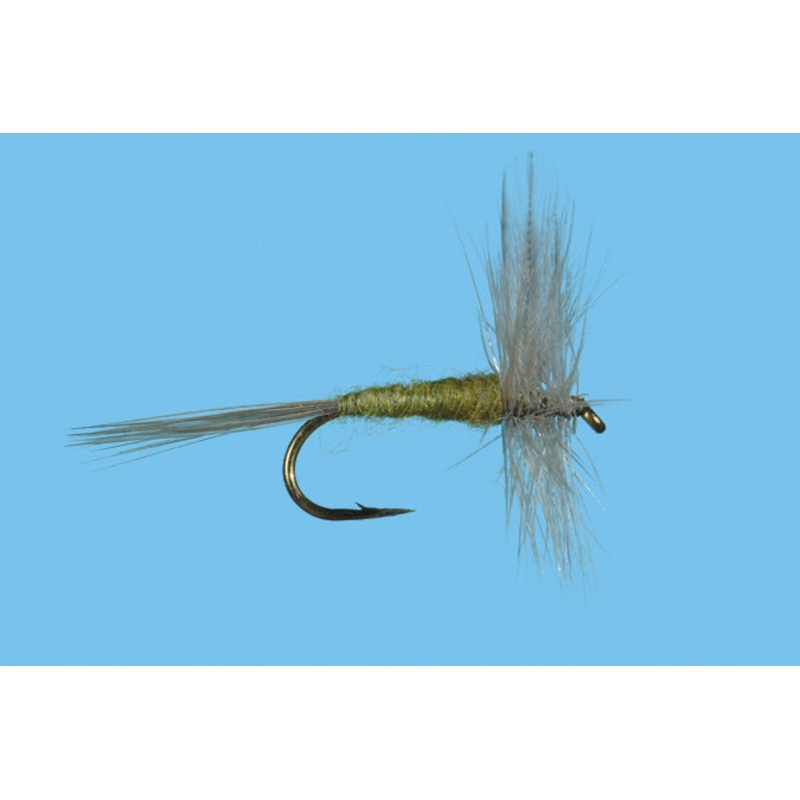 Blue Wing Olive