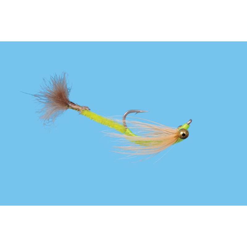 Bonefish Worm
