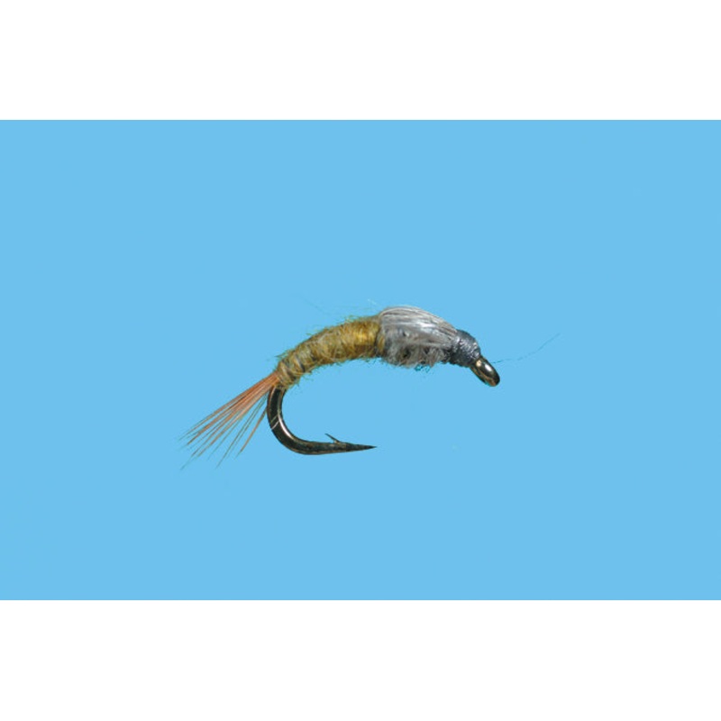 CDC Case BWO Emerger