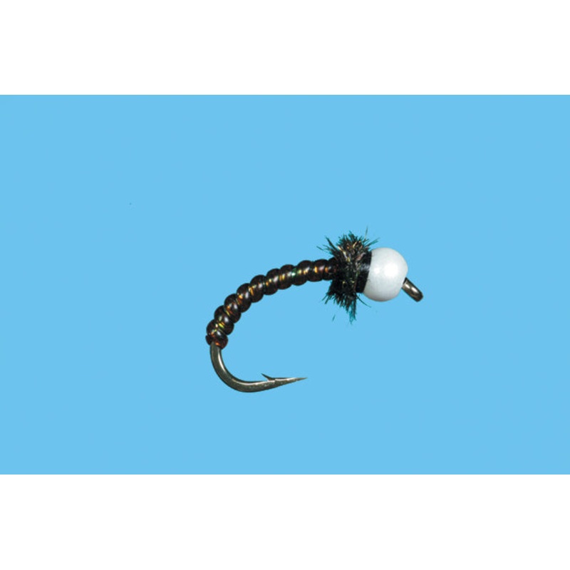 Chironocone