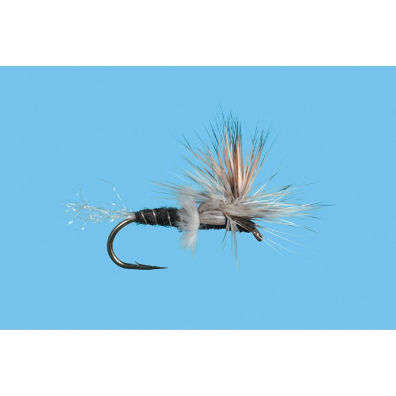 Chironomid Cripple