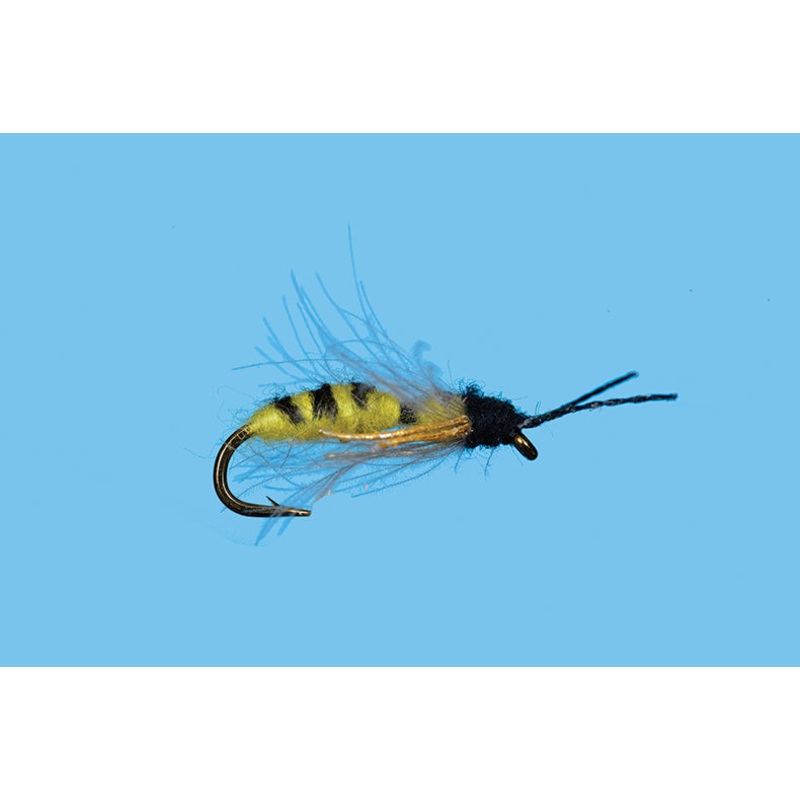 Drowning Yellow Jacket