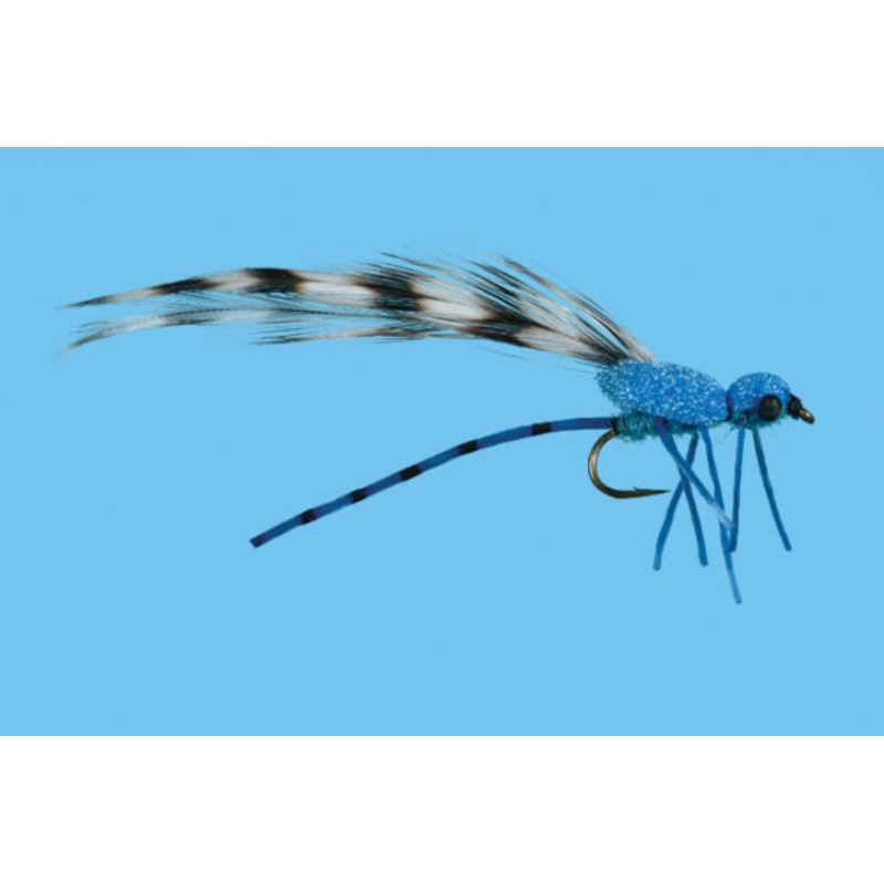 Egg Laying Damsel