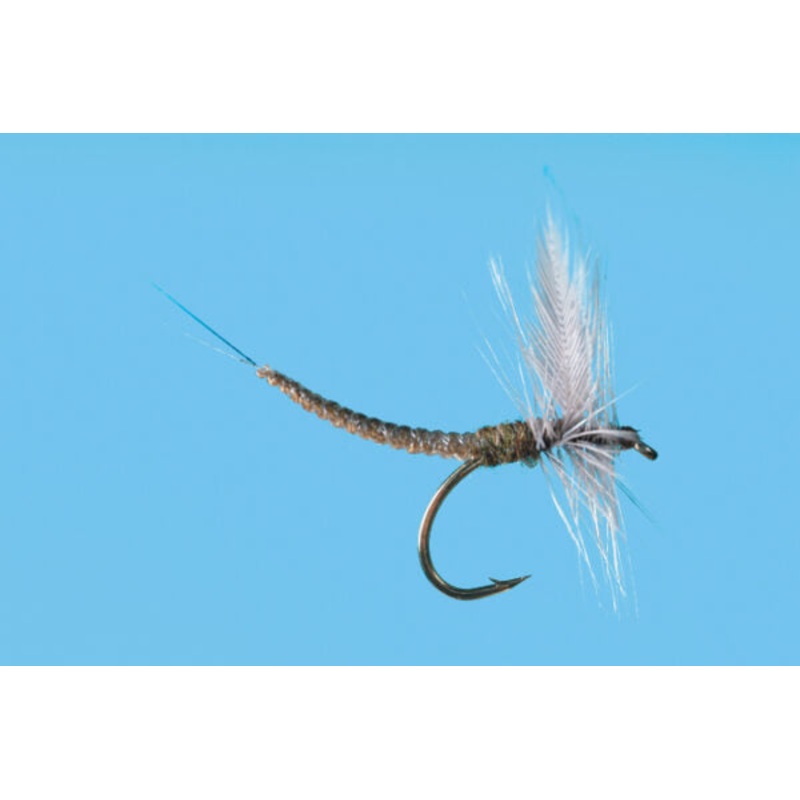 Extended Body BWO