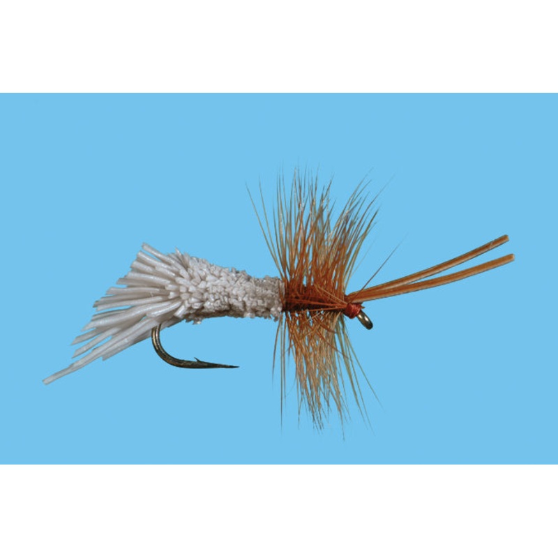 Goddard Caddis