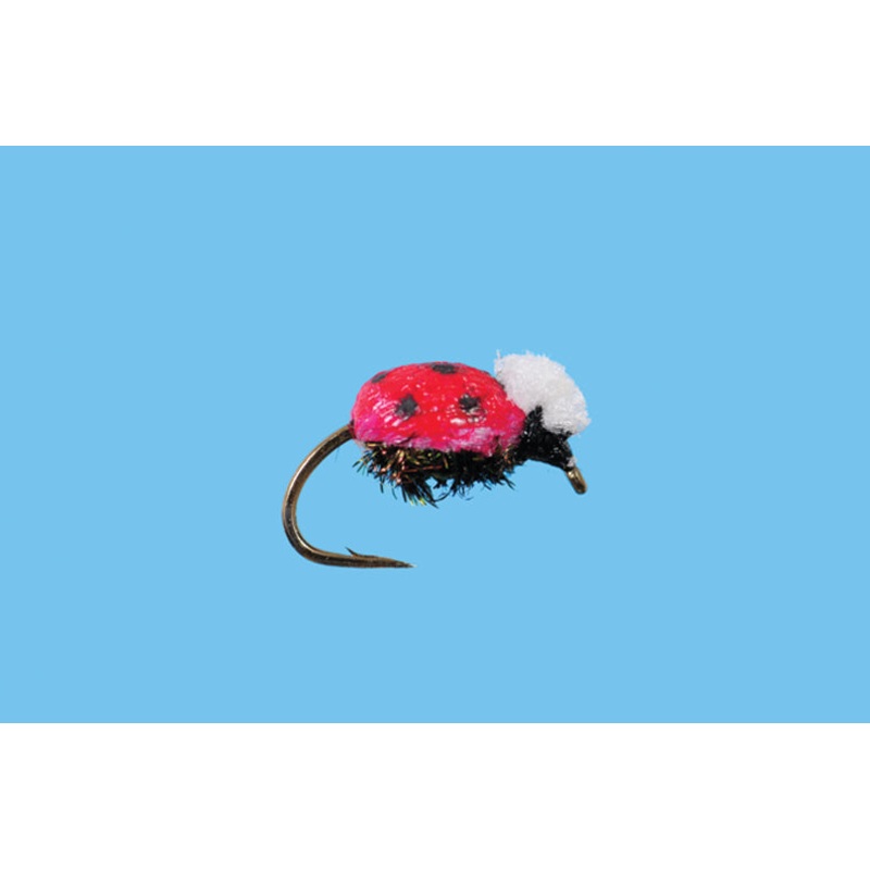 Lady Bug