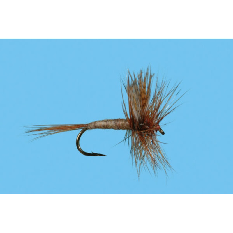 March Brown