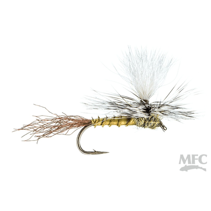MFC Moores Para-Shuck Flav