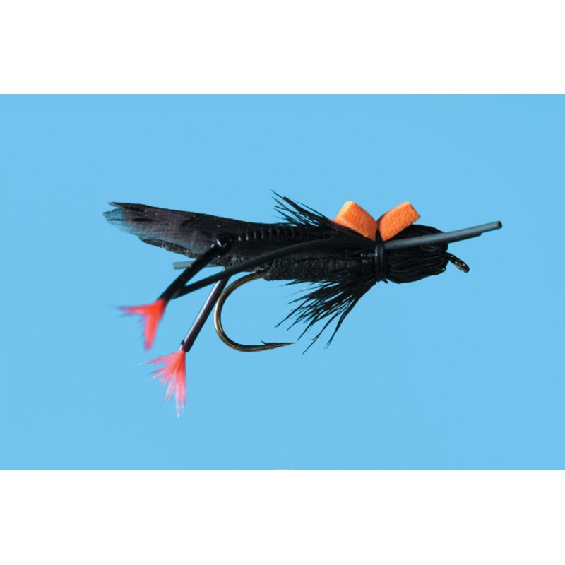 Stalcups Cricket