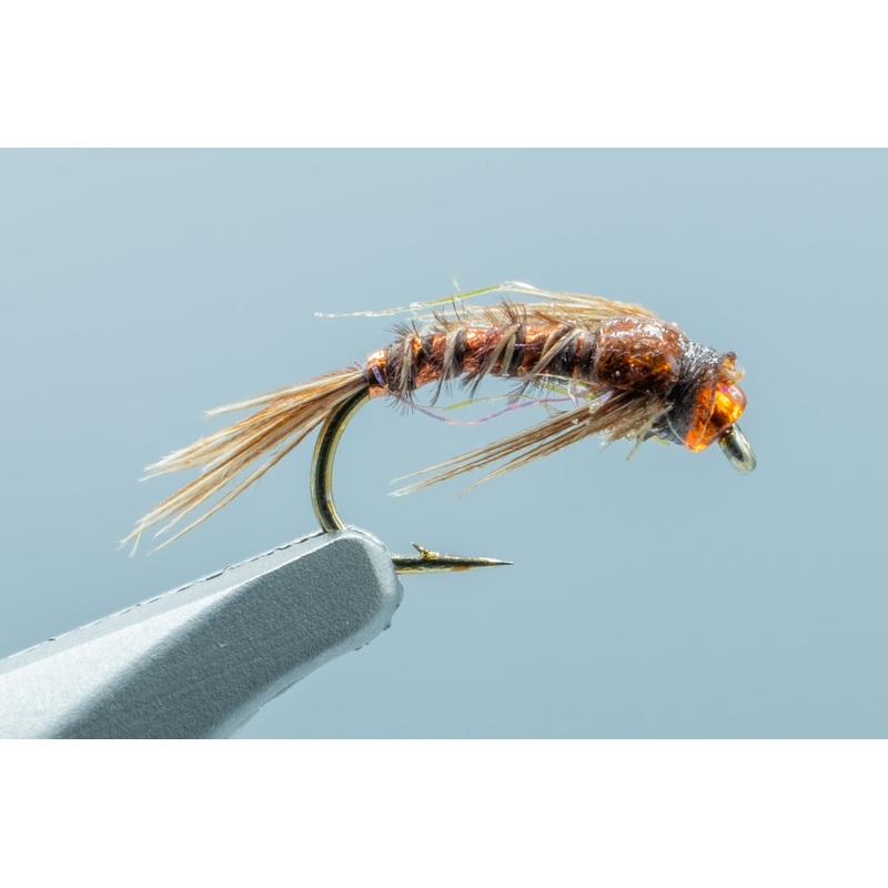 Phlamin Pheasant Orange #16