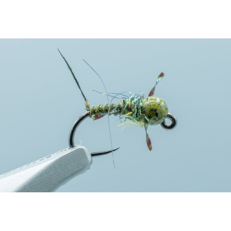 Tung Tied Beatis #18