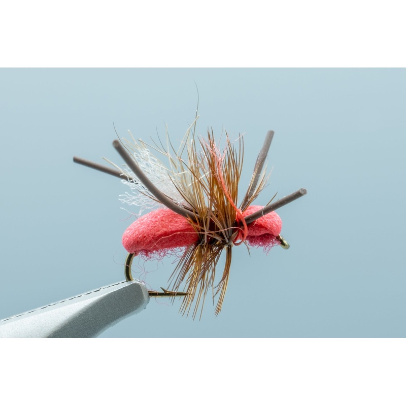 Ant CFO Red #14