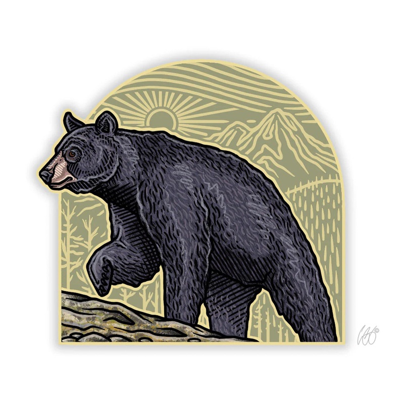 Casey Underwood Black Bear Arch