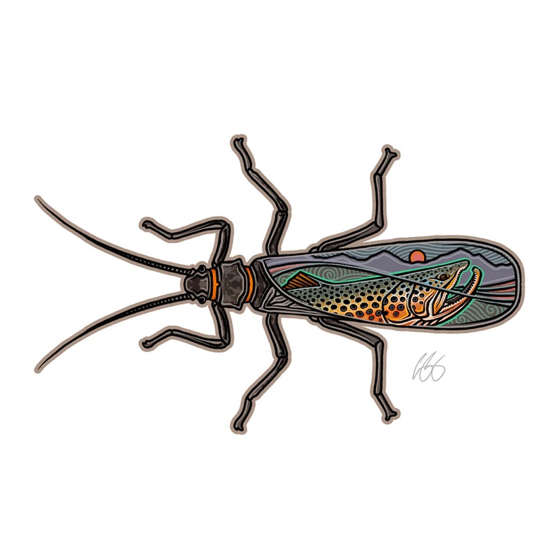 Casey Underwood Salmonfly Scape