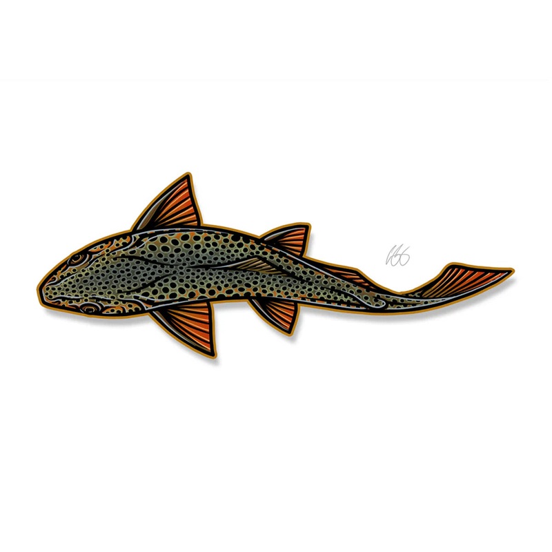 Casey Underwood Swimming Brown