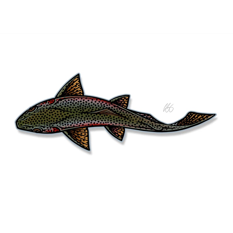 Casey Underwood Swimming Rainbow