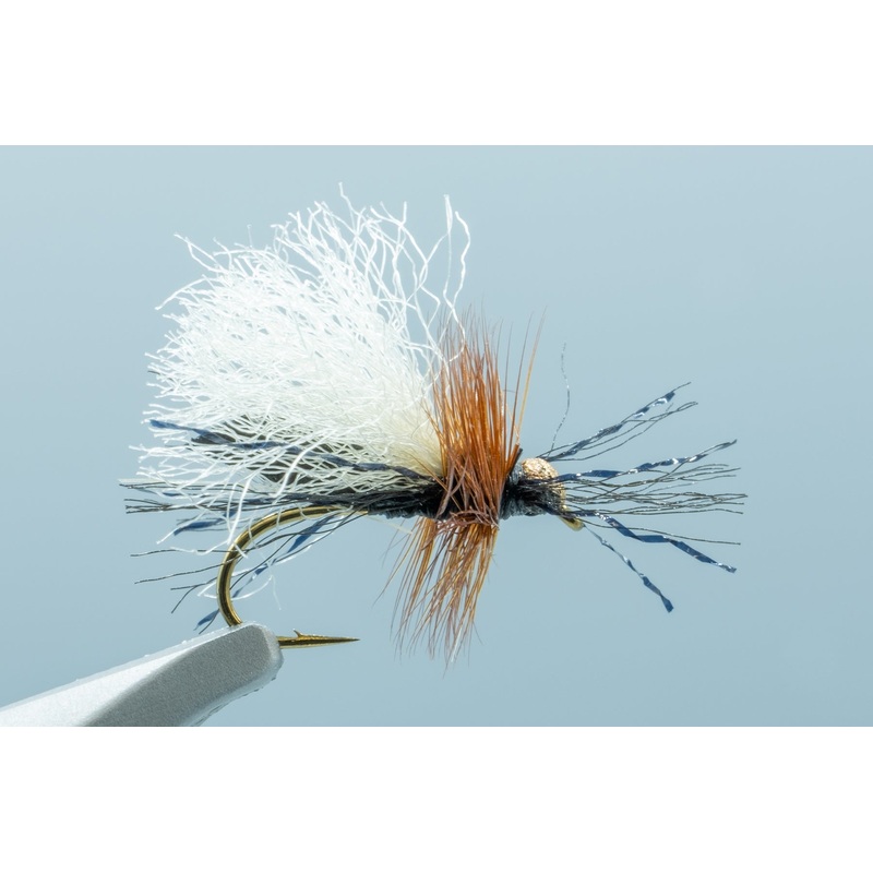 CFO Mini Ant Black #14