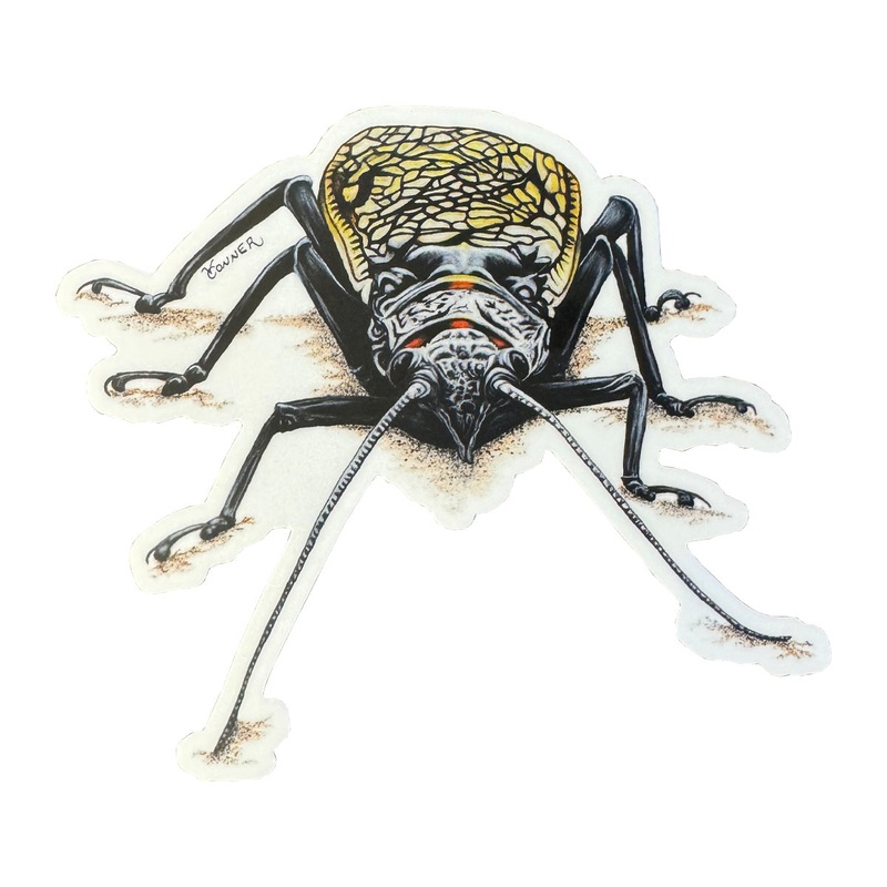Conner Art Studio Stoney Sticker