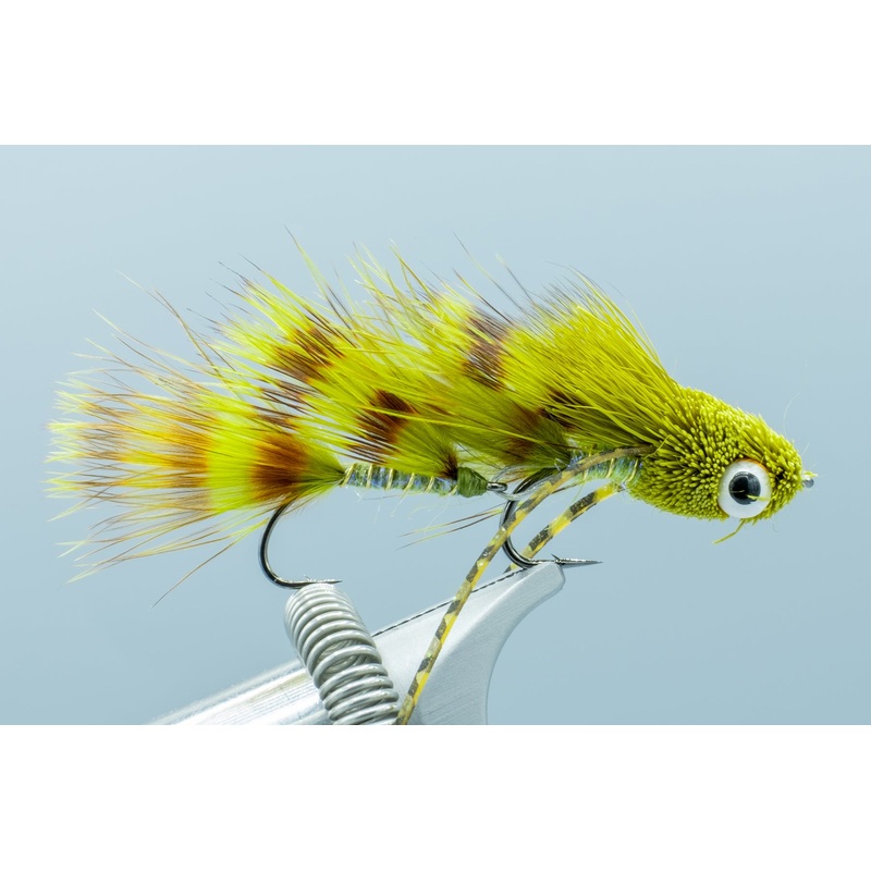 Galloup’s Barred Micro Dungeon Olive #10