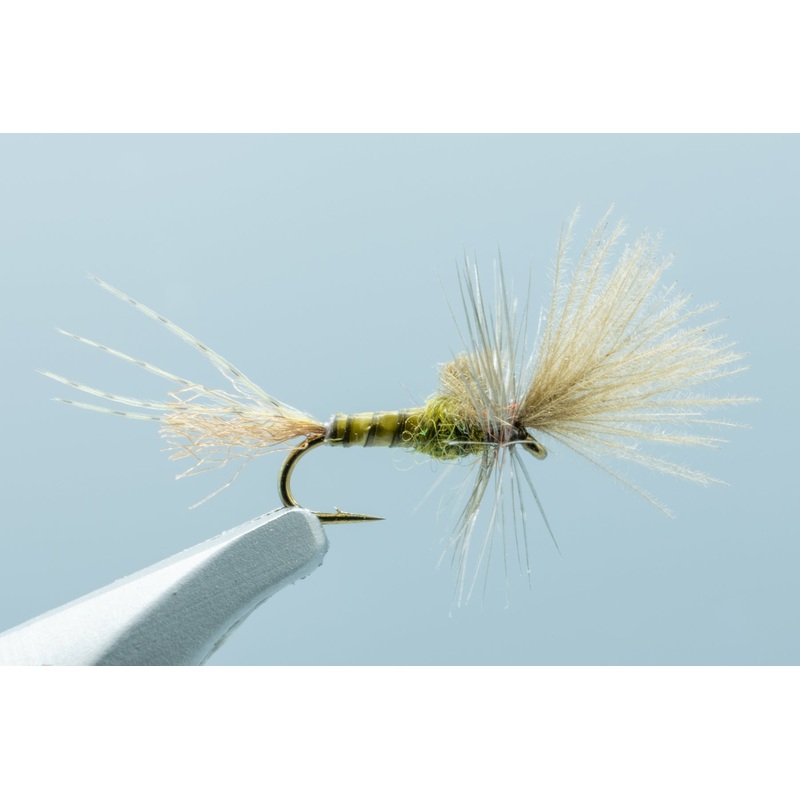 Last Chance Cripple Baetis #18
