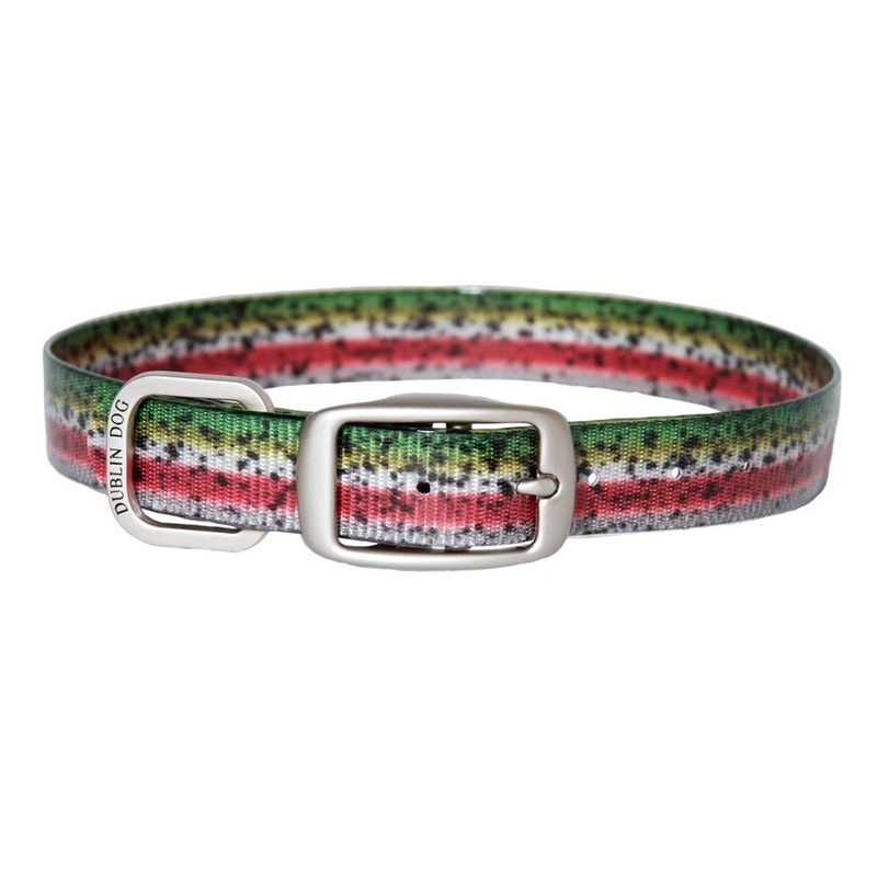 Dublin Dog KOA Dublin Dog Collar