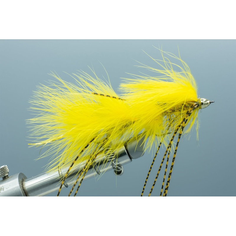 Galloup’s Peanut Envy Yellow #2