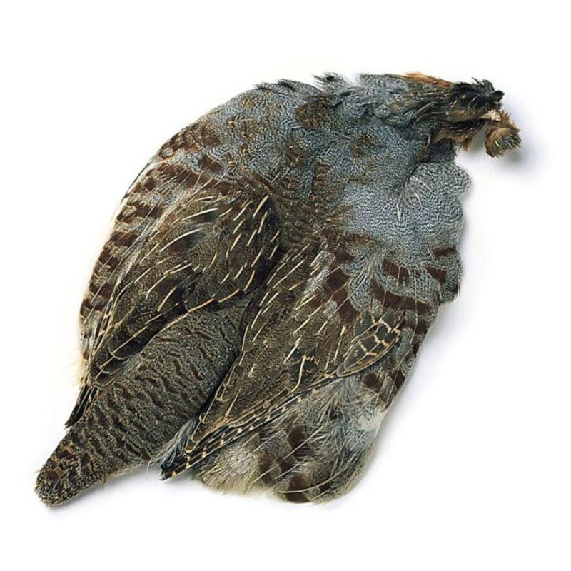 Hungarian Partridge Skins