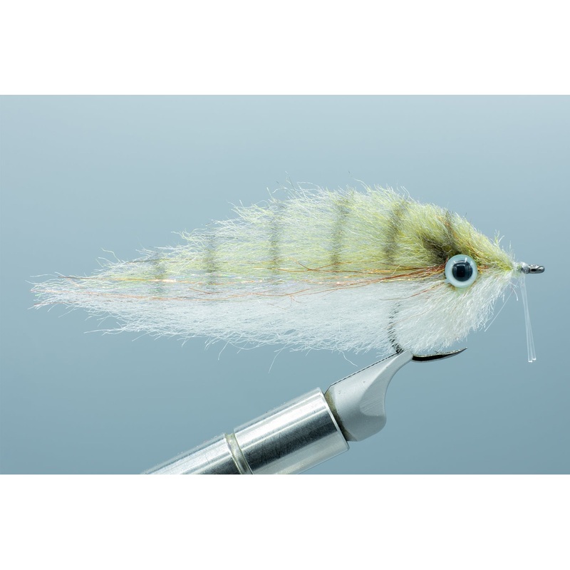 Pinfish