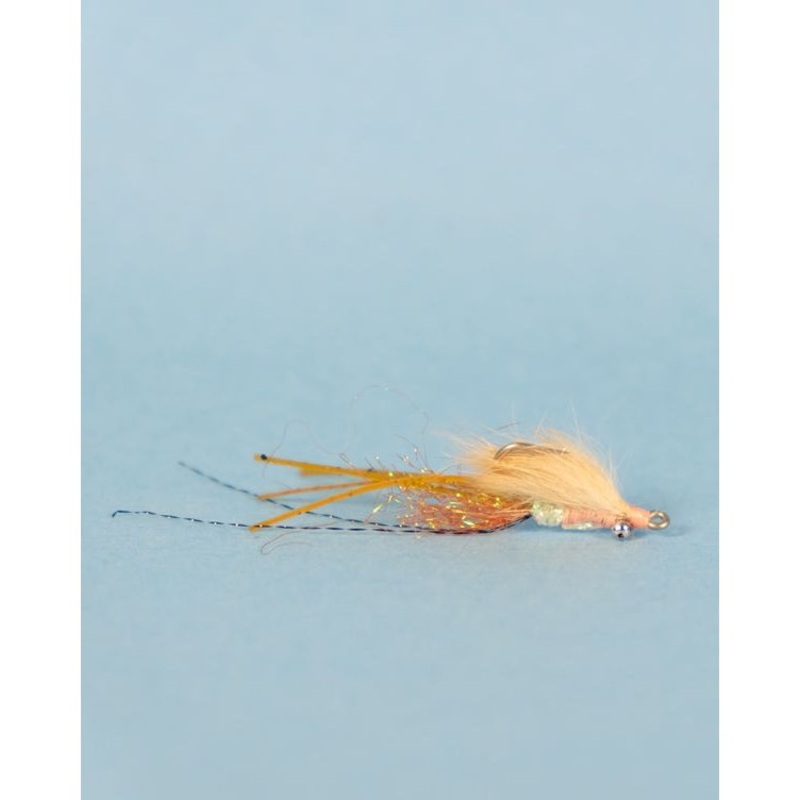 Skinny Shrimp