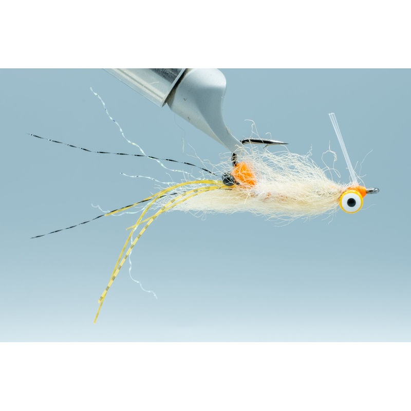 Spawning Shrimp Tan Yellow Eyes