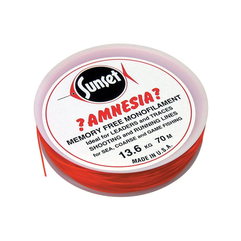 Amnesia Shooting Mono