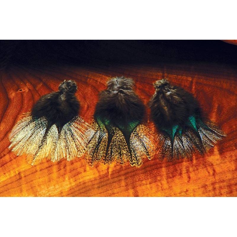 Coq De Leon