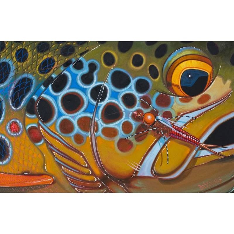 Deyoung Brown Trout Rubberlegs Canvas Print 36×24″