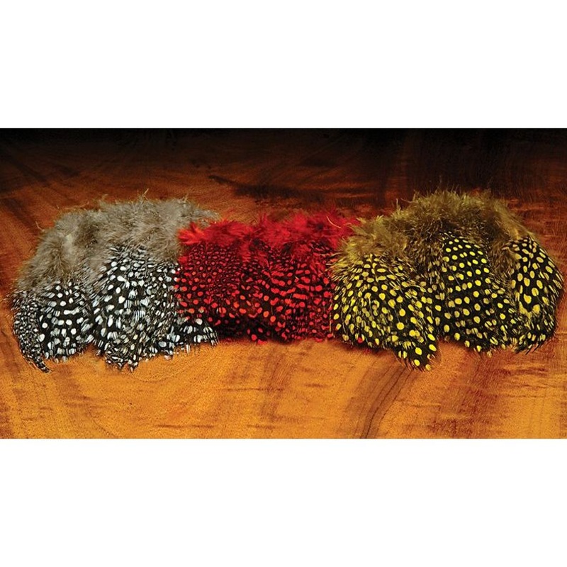 Guinea Feathers