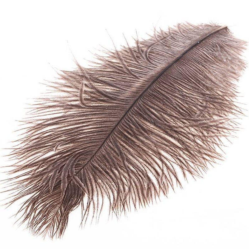 Ostrich Herl