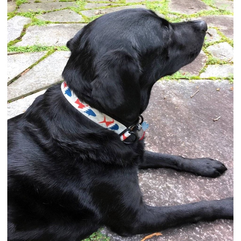 Pesca Muerta Dog Collar