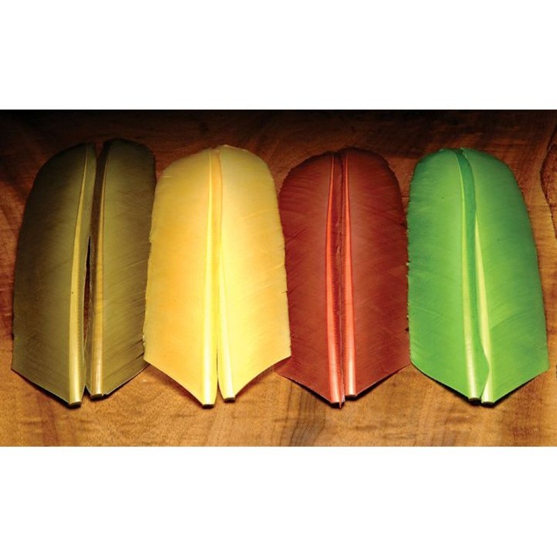 Turkey Biot Quills