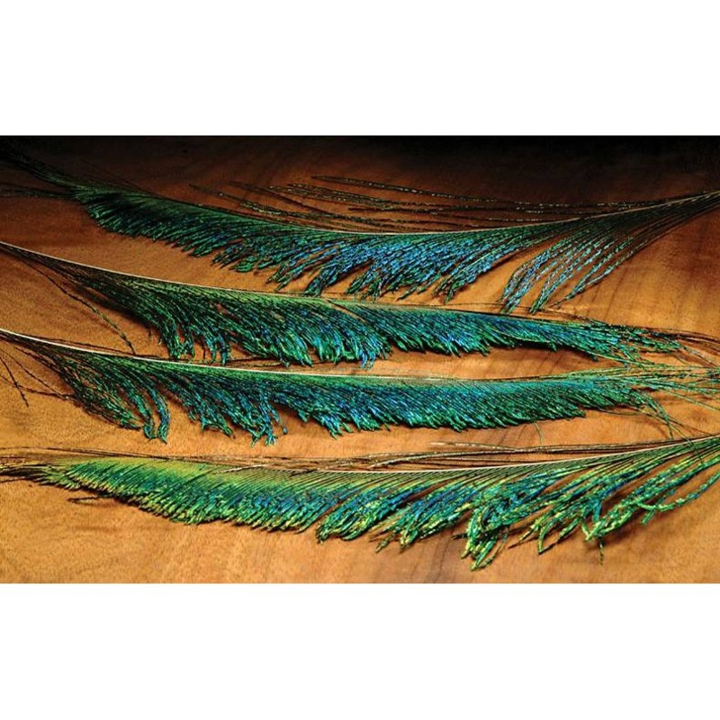 Peacock Sword-4 Pack