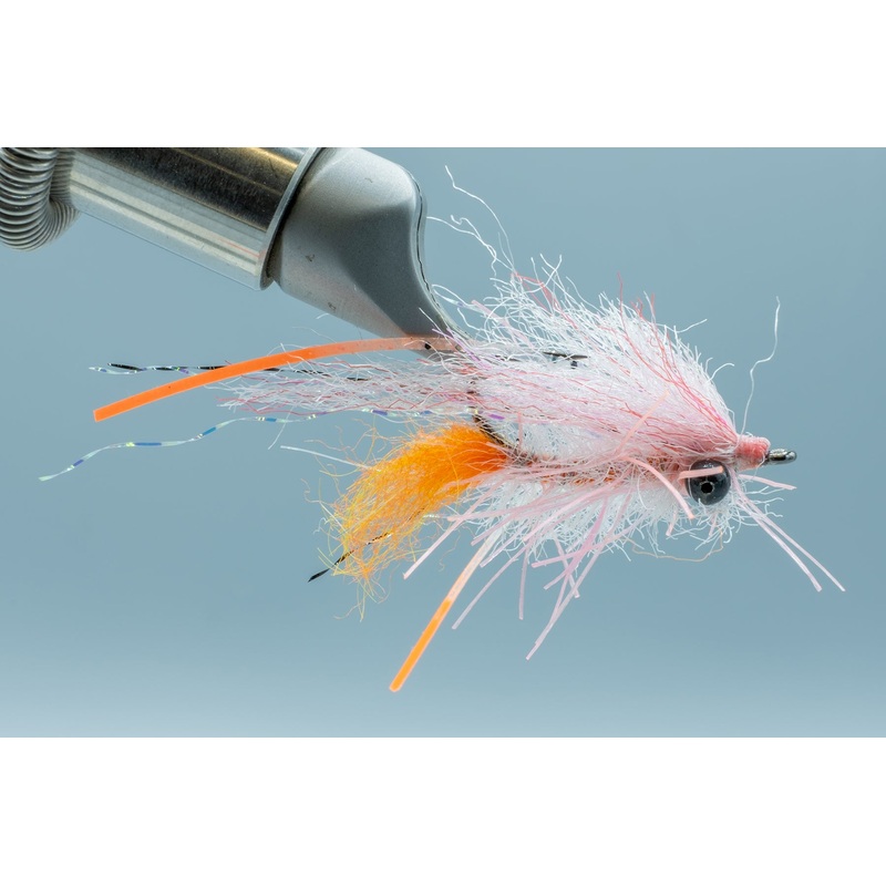 Bahamas Shrimp