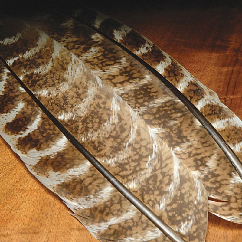 Mottled Turkey Quills