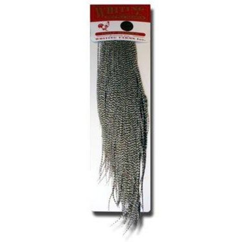 Whiting 1/4 Saddle