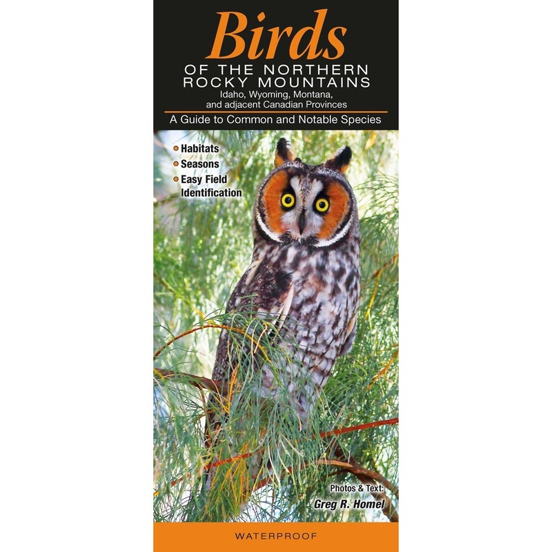 Birds-Rocky Mountain Quick Reference Guide