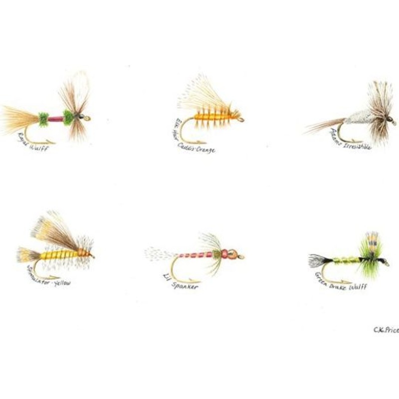 Caroline Price Art 6 Flies 10″ x 14″ Framed