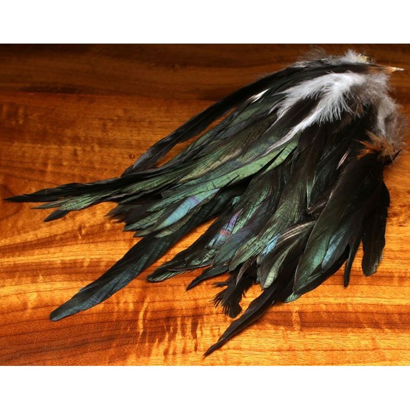 Iridescent Black Schlappen 7-9″