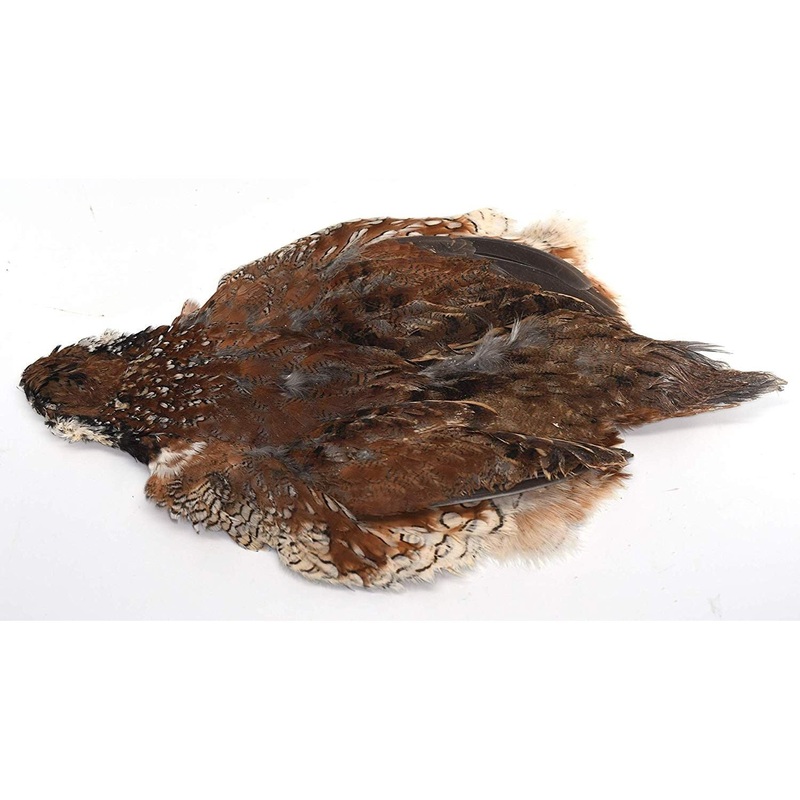 Mega Quail Skin