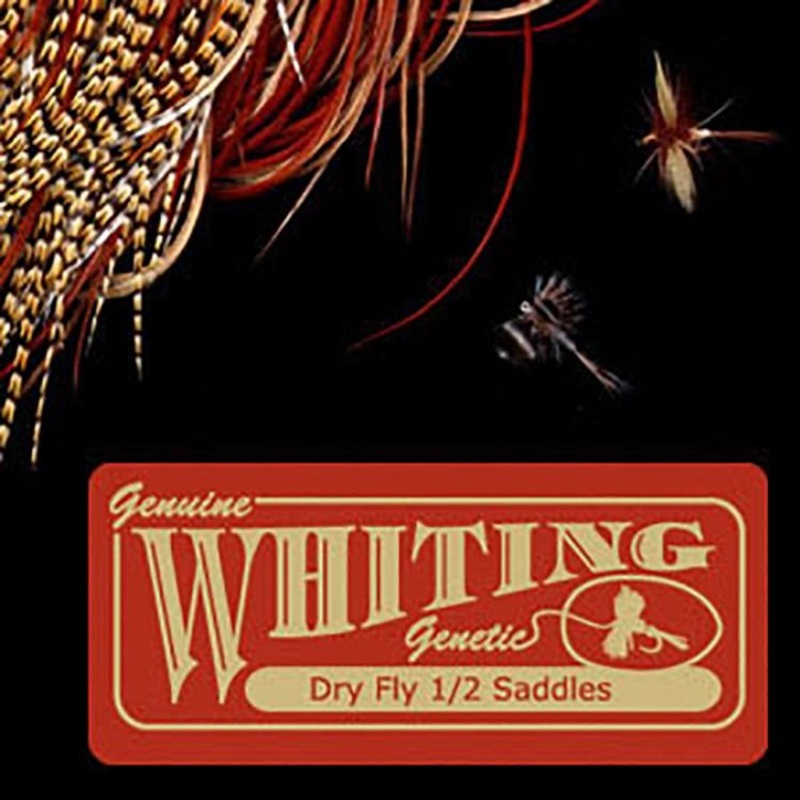 Whiting 1/2 Saddle Bronze